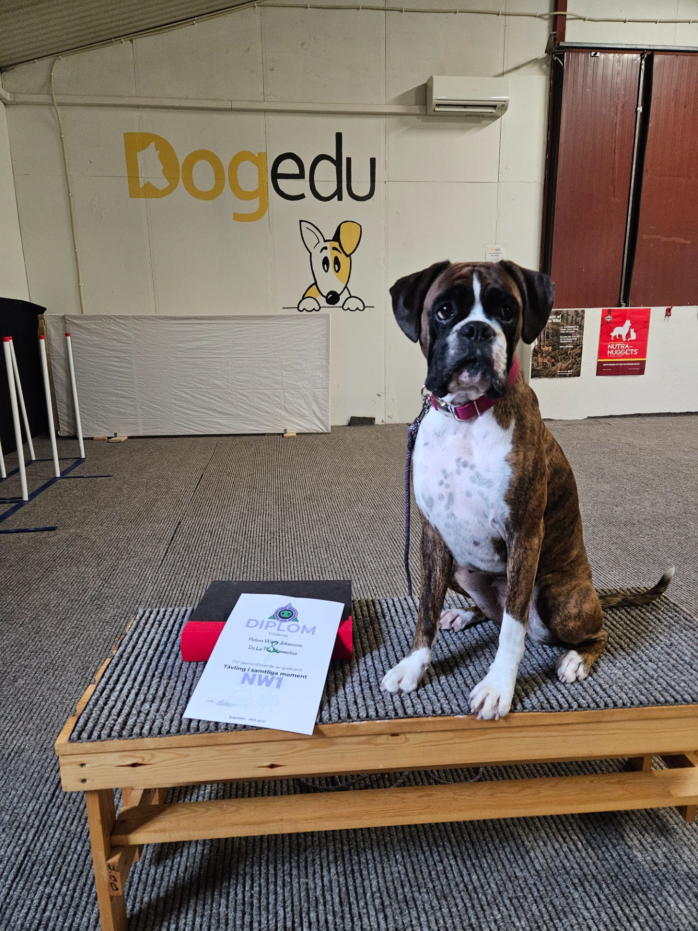 Klicka på bilden för mer info