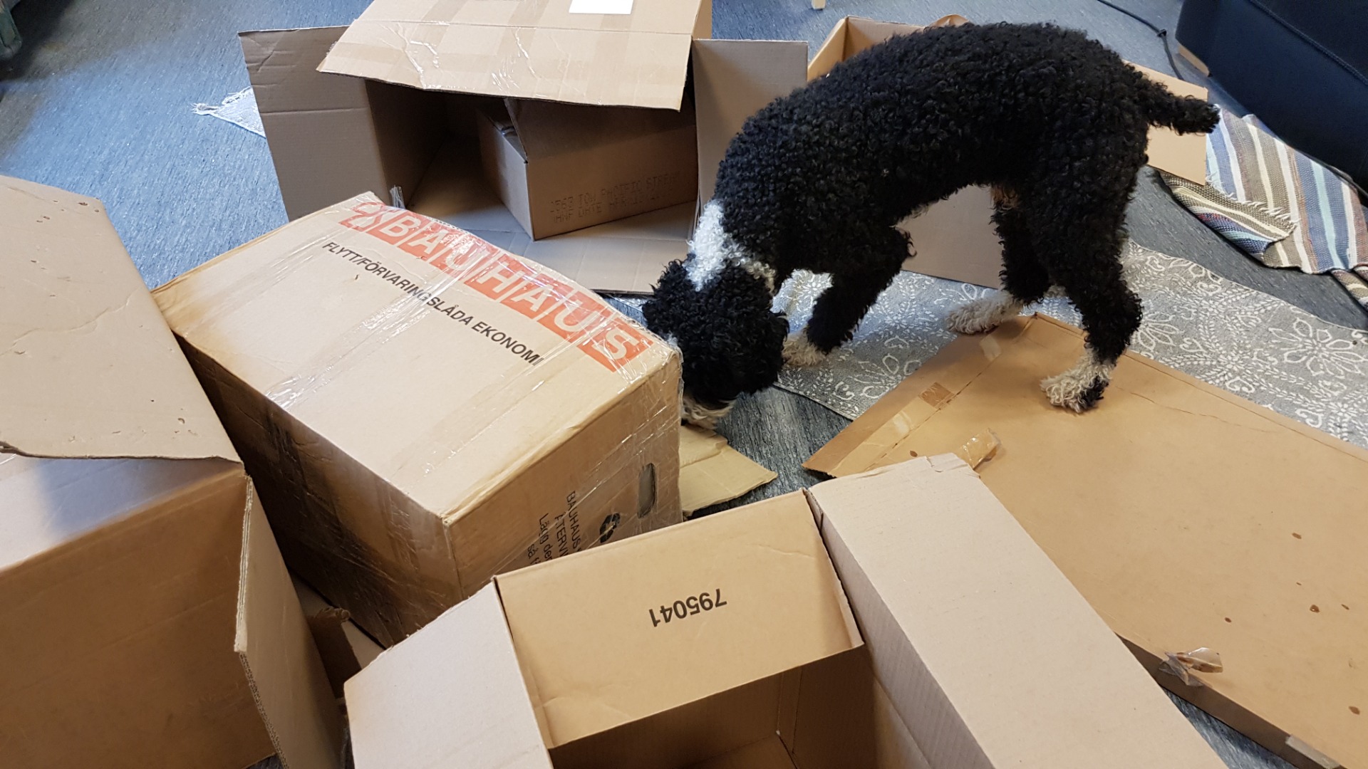 Klicka på bilden för mer info