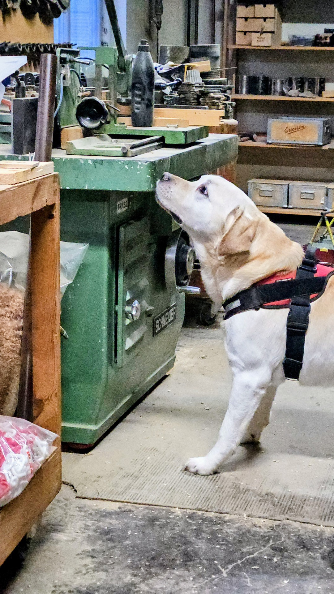 Klicka på bilden för mer info